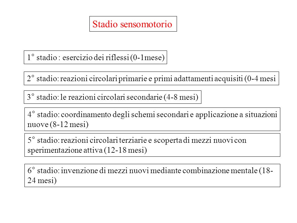 LO SVILUPPO COGNITIVO stadio sensomotorio ppt video online scaricare